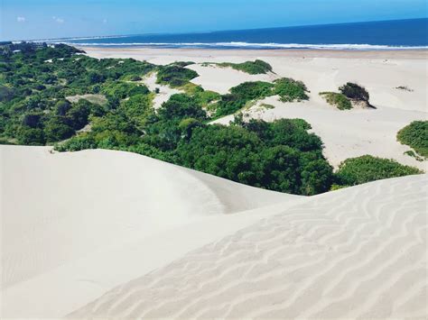 mambrui kenya.